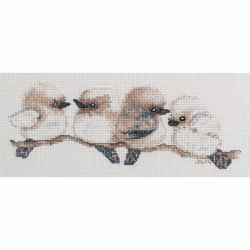Aust Coll Kookaburra Cs 21X30Cm