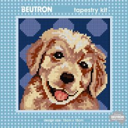 Tapestry Kit