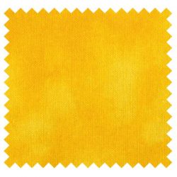 Mystique Wattle