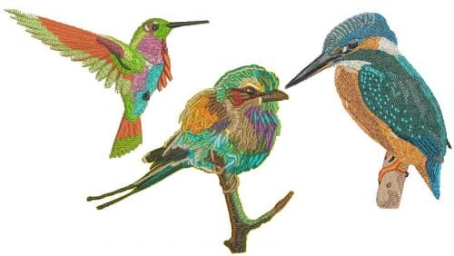 Free Colourful Bird Embroidery Designs