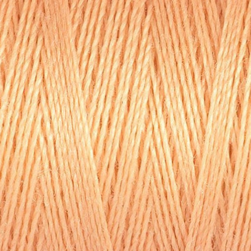 SALMON (#979)