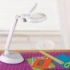 Ottlite Space-Saving LED Desk Lamp with Magnifier